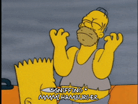 homer simpson GIF