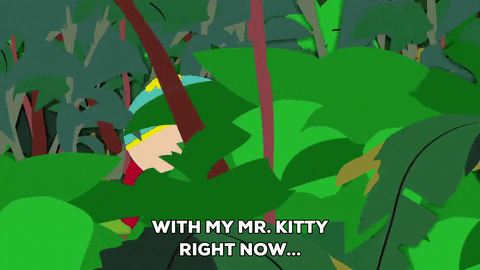eric cartman rainforest GIF by South Park 