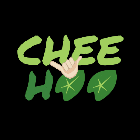 asbhawaii giphygifmaker giphyattribution GIF