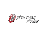 Guggenmusik Sticker by pfuutzger