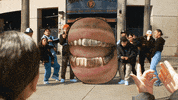 San Francisco Warriors GIF by P-Lo