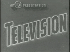 Television When Someone Asks My Plans GIF by LaGuardia-Wagner Archives