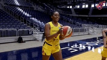 Celebrate Hinkle Fieldhouse GIF by Indiana Fever