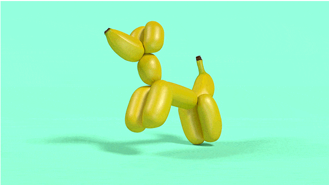 GIF by X&XYZ