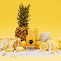 Sam Adams Summer GIF by Samuel Adams Beer