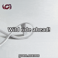 Ride Excitement GIF by Goeememe