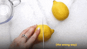 GIF by Good Morning America
