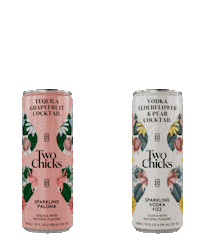 Ready To Drink Party Sticker by Two Chicks Cocktails