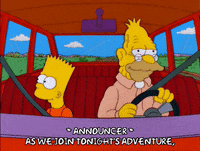 bart simpson episode 13 GIF