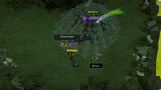RuneScape  GIF
