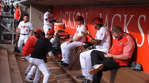 GIF by Lansing Lugnuts