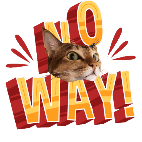 No Way Cat Sticker