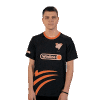 Esports Fame Sticker by Virtus.pro