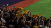 Waving Tampa Bay GIF by MLB