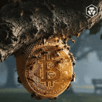 Bitcoin Eth GIF by Crypto.com