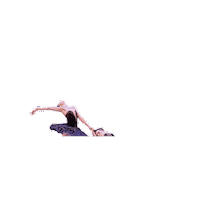 Black Swan Dancers Sticker by Ballet Austin