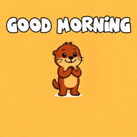Good Morning Hello GIF by Built Daily