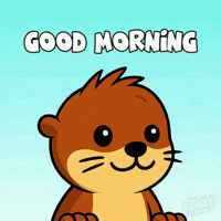 Good Morning GIF by Built Daily