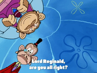 season 4 episode 10 GIF by SpongeBob SquarePants