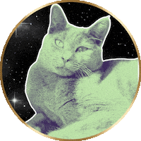 Cat Yawn Sticker