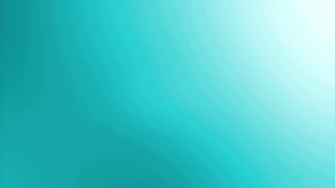 Happy Omliversary GIF by Omlie Consulting