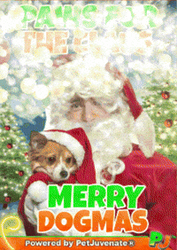 PetJuvenate  GIF