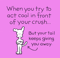 awkward i love you GIF by Chippy the dog