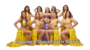 Bellydance Sticker by Oriental Dance on line
