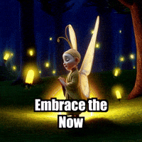 Wisdom GIF by BuddhaFlyJourney
