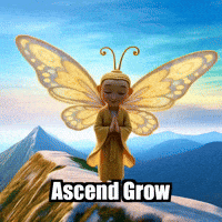 Wisdom Enlightenment GIF by BuddhaFlyJourney