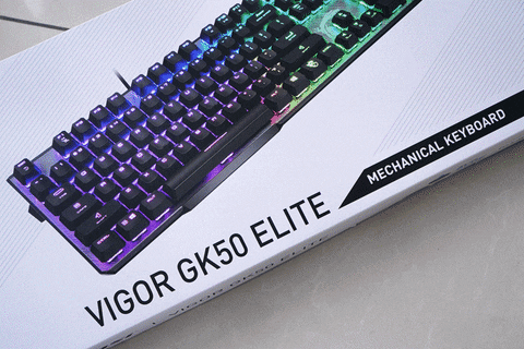 EcLife giphyupload GIF
