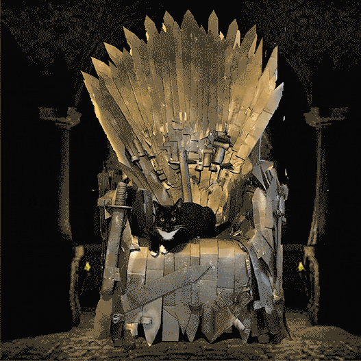 andrewdoughtyfee7 giphyupload GIF