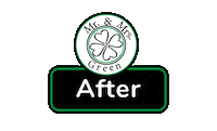 Sticker by Mr. and Mrs. Green