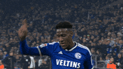 Football Soccer GIF by FC Schalke 04