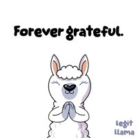 For Life Thank You GIF by VeeFriends