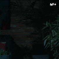 Baile Comedia GIF by Movistar Plus+