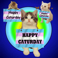 Lgbt Happy Saturday GIF