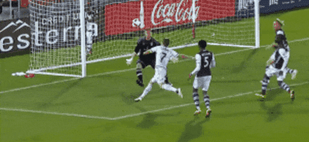 GIF by Philadelphia Union