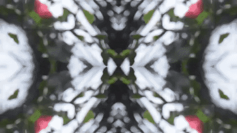 Art Love GIF by jorgemariozuleta