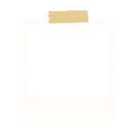 Picture Photo Sticker