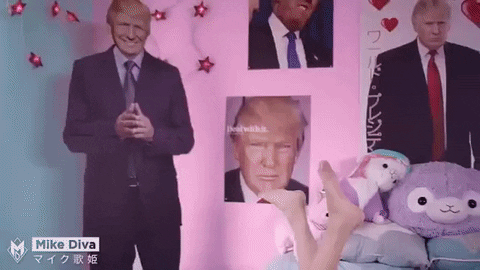 Donald Trump Japan GIF