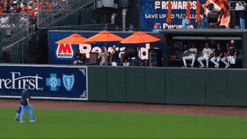 Blue Jays Baseball GIF by Toronto Blue Jays