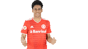 Vamointer Diadeinter Sticker by Sport Club Internacional