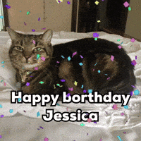 Happy Birthday Cat GIF