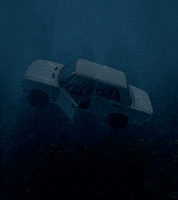 sashakatz sasha katz GIF