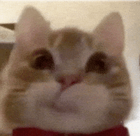 Crush Love GIF
