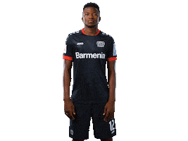 Bayer 04 Werkself Sticker by Bayer 04 Leverkusen