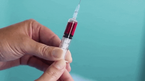 alegalazb giphygifmaker GIF