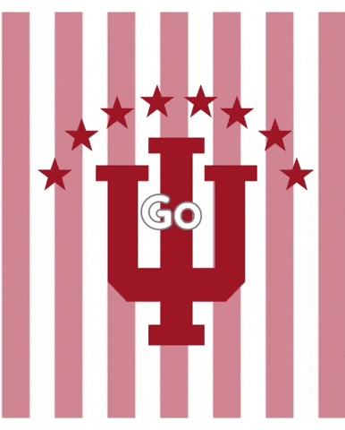 daddyhoosierxd  GIF