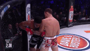 GIF by Bellator